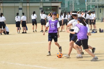 画像4
