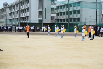 DSC_3713